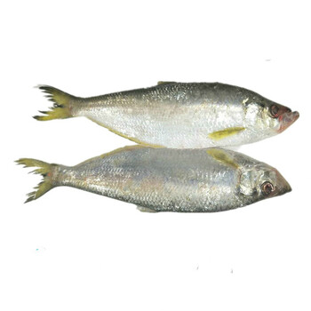 三鲍鳓鱼(三鲍鳓鱼蒸肉沫)