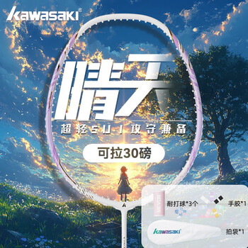 川崎 破价！羽毛球拍单拍5U专业级训练拍 24磅