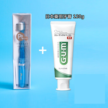 牙刷一支 gum牙膏120g一支