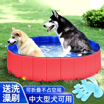 惊喜!抢购最新热门商品,价格还在急速上涨!