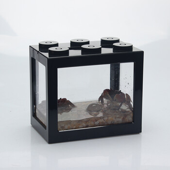 观赏蟹活体水族恶魔桌面饲养宠物作业吃水果菜淡水相手蟹大号套装大号