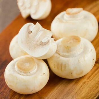 【京鲜速运】新鲜口蘑白蘑菇食用菌菇炖汤小圆菇农家菜时令蔬菜 3斤