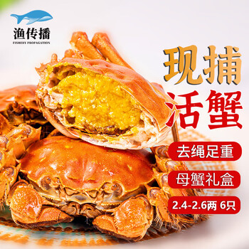【活蟹】渔传播 大闸蟹鲜活螃蟹现货 全母蟹2.4-2.6两 6只装 固城湖活蟹礼盒湖蟹