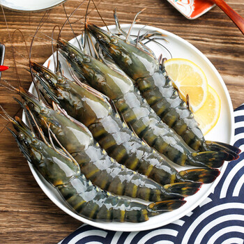 黑虎虾鲜活超大刺身缅甸冷冻速冻熟海鲜水产深海海捕黑虎虾展志曼智