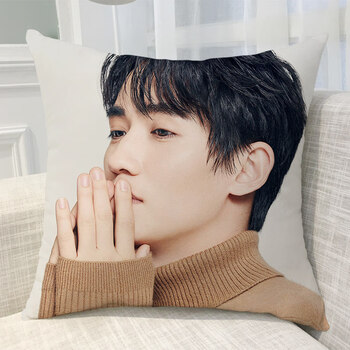 听雷周边同款靠垫双面定制生日礼物枕午睡 b 小号 40x40cm舒适帆羽布