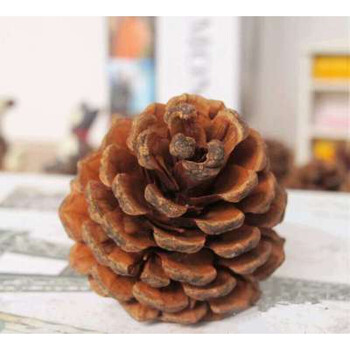 影楼古装道具摄影中国风写真创意工笔画素材复古汉服古风拍照道具干