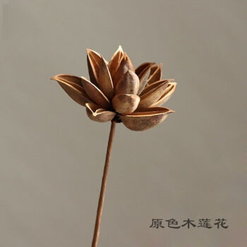 轻奢soumiety莲蓬木莲花荷花荷叶天然干花花束假花装饰客厅材料diy节日摆件原色木莲花 赠送仿真花杆 图片价格品牌报价 京东 轻奢soumiety莲蓬木莲花荷花荷叶天然干花花束假花装饰客厅材料diy节日摆件原色木莲花 赠送仿真花杆 图片价格品牌报价 京东
