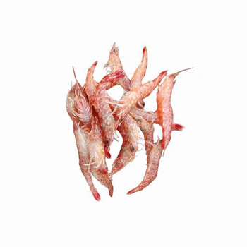 东山岛樱花虾红虾鲜活大虾刺身甜虾海虾冷冻海鲜水产可清蒸虾 可刺身
