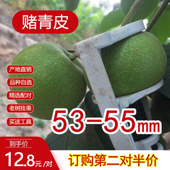 老农哥【现货】赌青皮文玩核桃麻核桃狮子头绿皮果精选麒麟官帽麦穗虎头 狮子头53-55mm一对