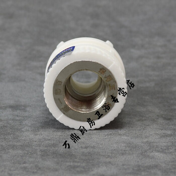ppr内丝直接20 4分25 6分32 1寸内牙直通内螺纹接头水管管件 50mm塑*