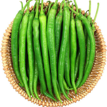 新鲜红线椒5斤特辣二荆条红美人椒顺丰 青线椒5斤(顺丰)