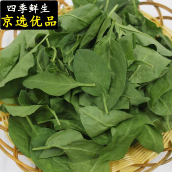 新鲜枸杞叶高山枸杞菜现采带枝煮汤批发枸杞叶菜1000g