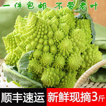 新鲜宝塔花菜特级罗马花椰菜意大利蔬菜食用佛头菜1000顺丰1000g 图片价格品牌报价 京东