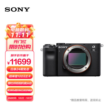 索尼（SONY）Alpha 7C 全画幅微单数码相机 轻便小巧 实时眼部对焦 黑色（A7c/a7c/a7c）