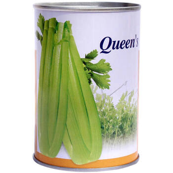 颜集卉法国皇后西芹玻璃四季播皇后西芹籽夏季耐热春季秋季冬季蔬菜