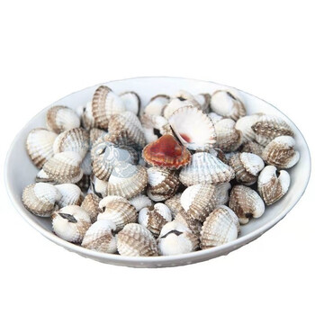 鲜源澜湾鲜活血蛤超大泥蛤海鲜大蛤蜊泥蚶花蚶血蚶海鲜贝类2斤装规格