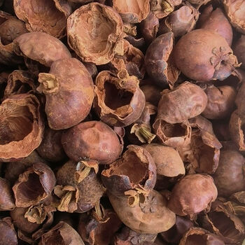 中药材山竹壳山竹壳山竹外壳100克