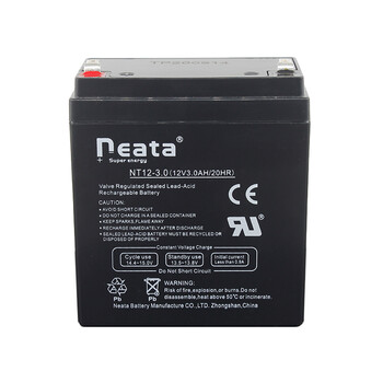 12v3a电瓶贝德户外拉杆音响广场舞音箱 bd-h1271 蓄电池6fm3能特 能特