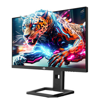 泰坦军团24.5英寸 2K 240Hz HDR500 QD量子点技术屏500nits高亮 99%P3色域 升降旋转 电竞显示器P2510S MAX