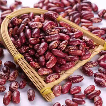 东北花芸豆花腰豆红花豆紫花豆红腰豆饭豆农家自种大碴粥豆馅专用