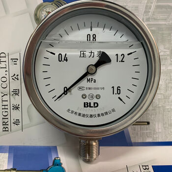 北京布莱迪压力表 ythn100全不锈钢耐震压力表螺纹:m20*1.
