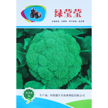 花菜西兰花甘蓝种子种苗春秋播种农家菜园有机菜花牛心包菜种籽孑绿莹莹绿花椰菜约500粒 图片价格品牌报价 京东