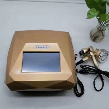 四季护理养生仪能量美容院仪器幸福疏通经络按摩全身理疗四季护理仪