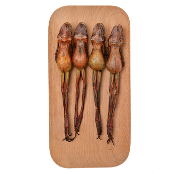 雪蛤干整只大个15gx10枝东北长白山蛤蟆干林蛙油雪哈