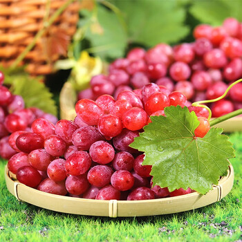 无籽葡萄无籽红提 克伦生葡萄应季新鲜水果整箱精品果脆甜过年送礼送