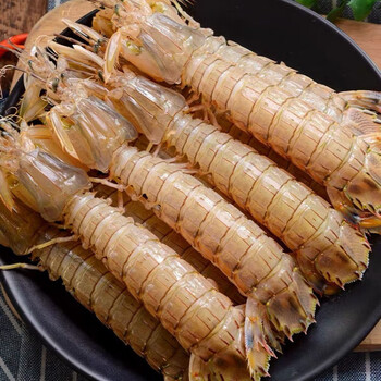 皮皮虾鲜活蒸熟濑尿虾虾婆琵琶虾虾爬子皮皮虾肉海鲜水产中号带黄母虾