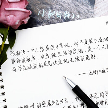 0字帖 考试用字体 小弛归野手写练字帖女生字体漂亮大学生钢笔行楷