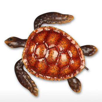 zcqbcy多彩小乌龟壁挂创意室内软装饰品墙上艺术壁挂家居摆件装饰品a2