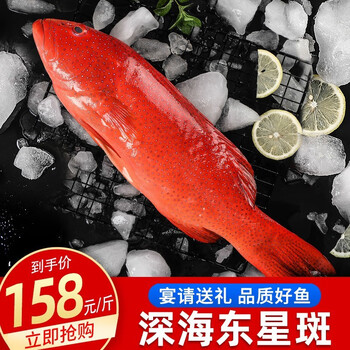 宴请送礼好鱼客品鲜渔深海东星斑鱼燕尾红石斑鱼海鱼海鲜鱼类生鲜450g