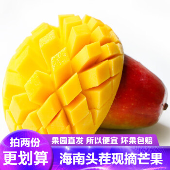 夏季独享,稳健增长的康乐欣芒果价格走势!