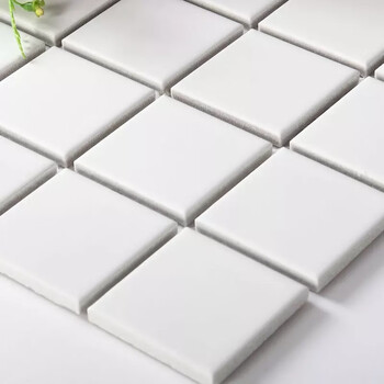 马赛克瓷砖电视背景墙蓝色卫生间泳池鱼池水池用48厘米颗粒纯白色亚光