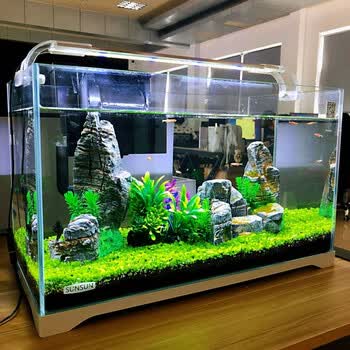 森森生态小鱼缸水草缸小型超白玻璃热带水族箱迷你桌面金鱼缸180裸缸18cm长 图片价格品牌报价 京东