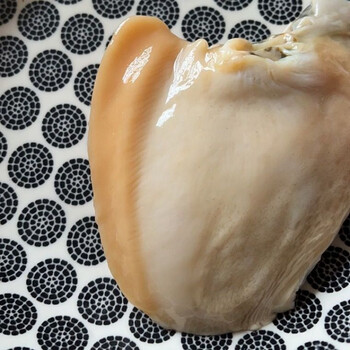 河蚌肉新鲜河蚌特大鲜活现杀去壳去腮去肠淡水小河蚌肉精品斧头足肉