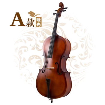 大提琴哪个品牌性价比高（大提琴什么牌子便宜又好用）