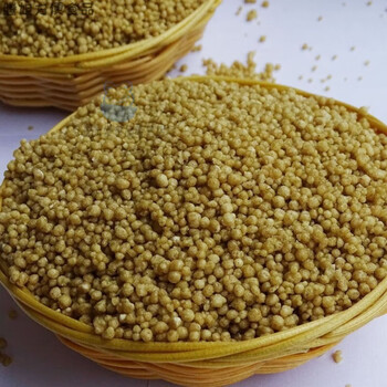 俏滋郎贵州威宁特产苦荞饭米苦荞麦米饭荞疙瘩乔荞麦饭五谷粗粮杂粮苦