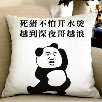 暴走漫画搞笑抱枕表情包个性文字靠枕恶搞馆长笑脸枕头 越到深夜哥越
