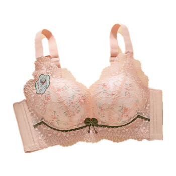 内衣版碎花魔力挺小胸显大无钢圈聚拢调整文胸蕾丝胸罩抖音同款 肤色