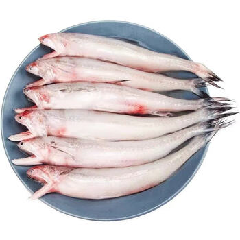 新鲜豆腐鱼鲜活海捕龙头鱼当季海鲜水产九肚鱼狗母鱼鲜美惊 五斤(实惠