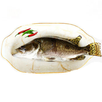 鲜活鳜鱼桂鱼鳌花鱼桂花鱼季花鱼鲜活现杀半斤左右一条两条装