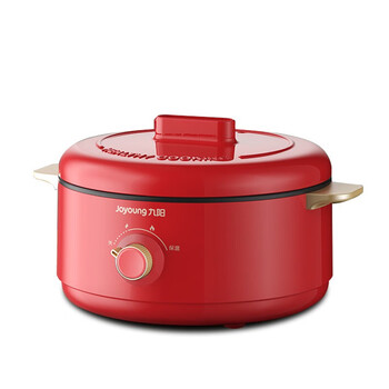 九阳(joyoung)多功能料理锅 电炖锅电火锅家用宿舍插电锅 dg20g-gd711