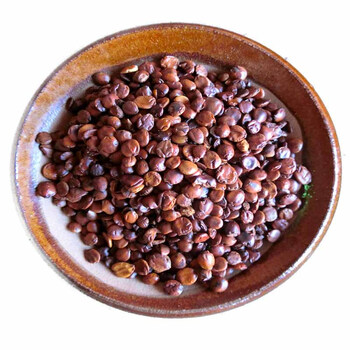 北京同仁堂炒枣仁 500克 理枣仁 酸枣仁 生枣仁 安国药材市场2件内廷