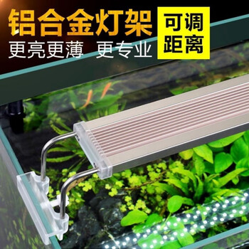 京选推荐 鱼缸灯led水草灯架草缸灯水族箱防水照明全光谱藻缸灯支架灯3 5w白光 灯长25cm 适合35 39cm鱼缸 图片价格品牌报价 京东 京选推荐 鱼缸灯led水草灯架草缸灯水族箱防水照明全光谱藻缸灯支架灯3 5w白光 灯长25cm 适合35 39cm鱼缸 图片价格品牌报价 京东
