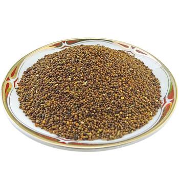 菟丝子天然纯野生非特级菟丝子粉兔丝子小菟丝子茶中药材500g