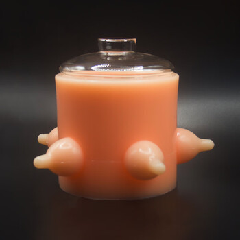 仿真奶瓶仿生气泡奶碗幼犬小猫自助吸奶狗喂奶器 5只大奶嘴【肉粉200