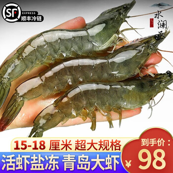 水澜丞国产青岛大虾超大基围虾特大青虾冷冻鲜对虾速冻海虾虾类海鲜水产 15-18厘米【40/50精选】 盐冻（四斤装）