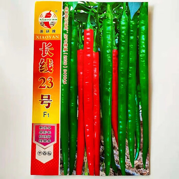 安徽萧研辣椒种业辣椒种子长线椒青红两用青椒种子大棚露地辣椒孑 萧